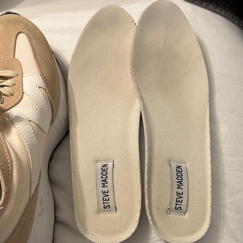 Campo Sneaker | Steve Madden - Picture 13 of 14
